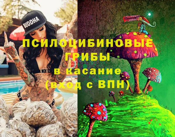 дживик Кулебаки