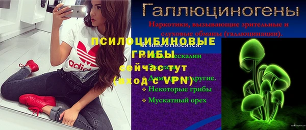дживик Кулебаки