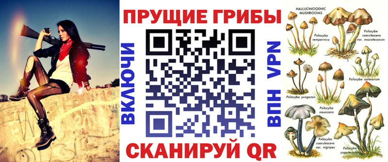 Псилоцибиновые грибы Cubensis  Нерчинск 